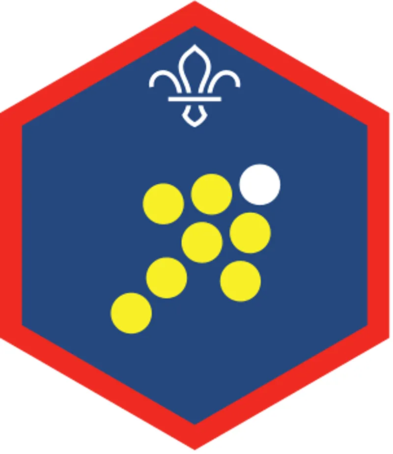 Scout Team Leader Challenge Award Badge